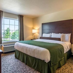 King Room Disability Access